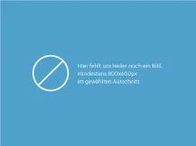 Titel des Downloads alternative Text
