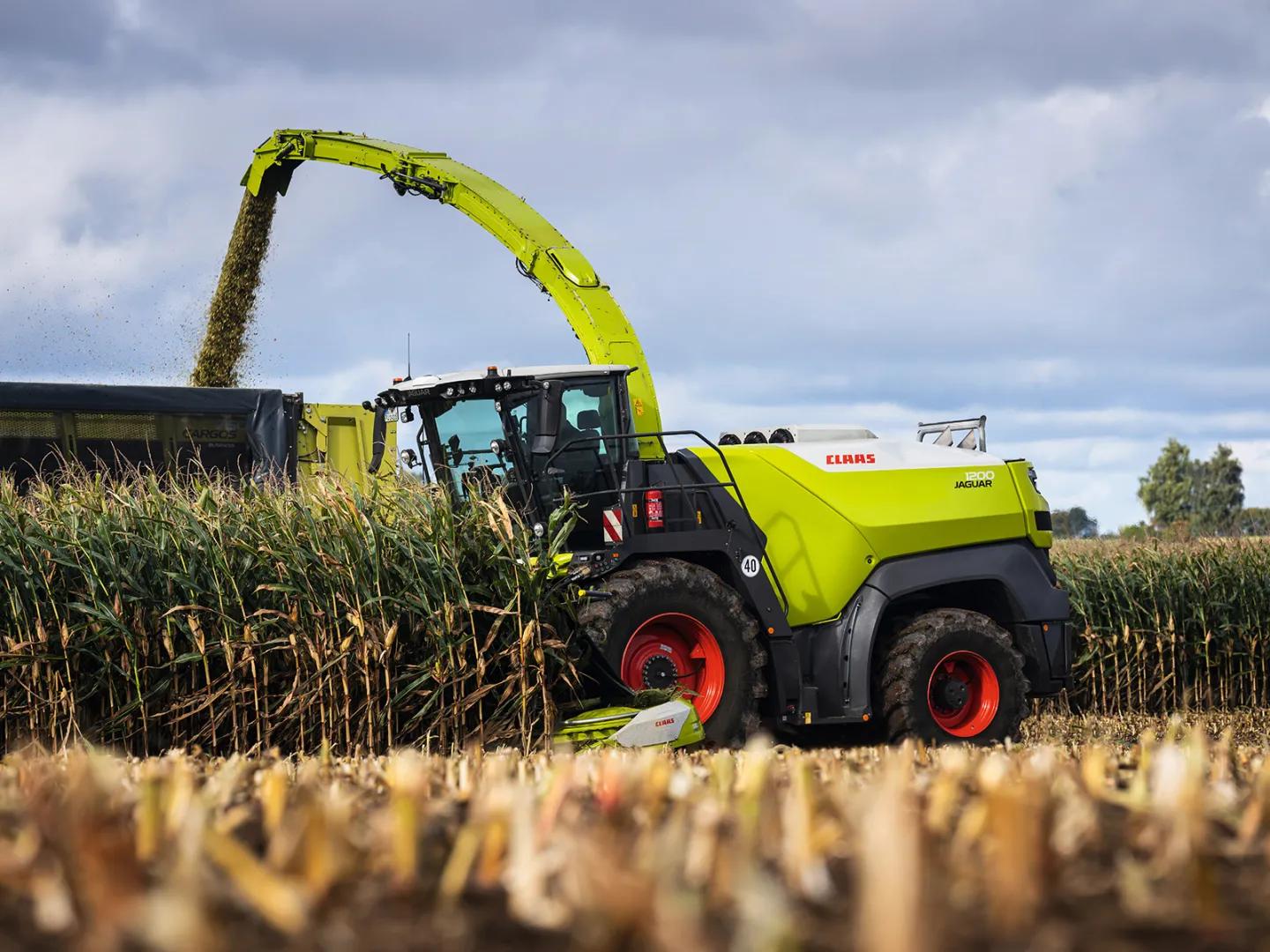 CLAAS JAGUAR 1000 forage harvester